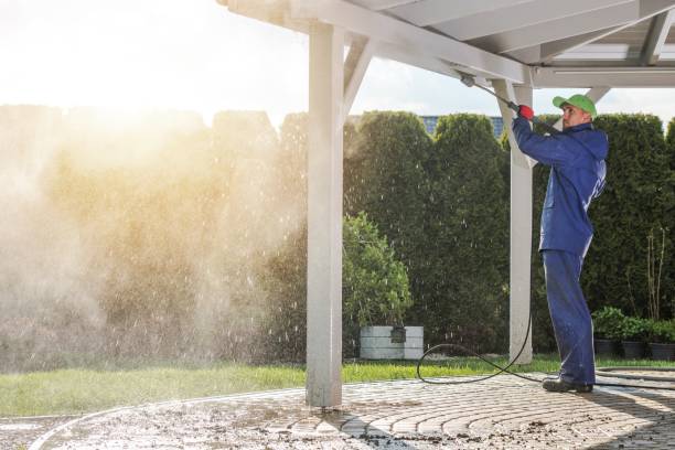 Best Gutter Cleaning and Brightening in Seymour, TN