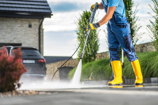 Best Fence Cleaning and Maintenance in Seymour, TN
